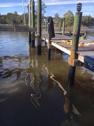 florida fishing dock repair