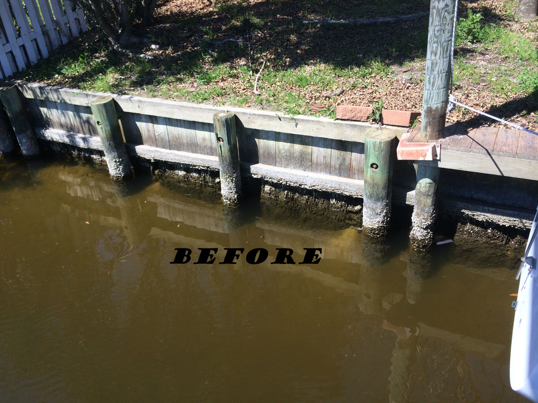 Damaged dock piling before restoration — Teredo worm damage