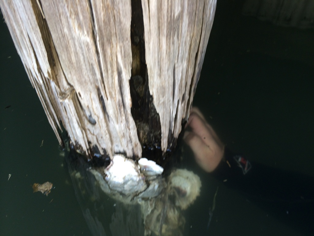 Piling Wraps — Deep South Marine Restoration Gulf Coast service