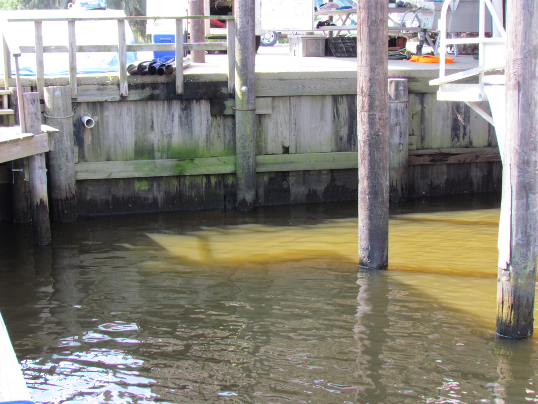 Elevated Homes — Deep South Marine Restoration Gulf Coast service