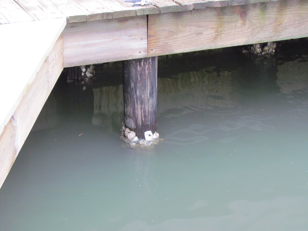 Deep South Marine Restoration project 15 — dock piling repair and restoration