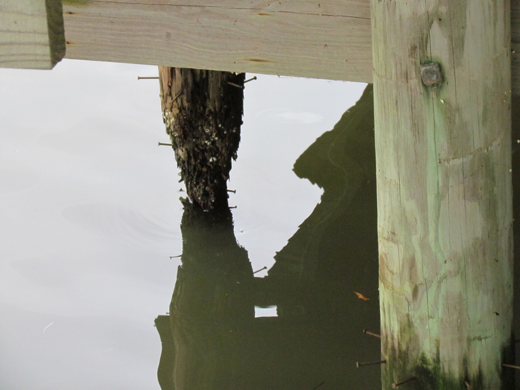 Deep South Marine Restoration project 19 — dock piling repair and restoration