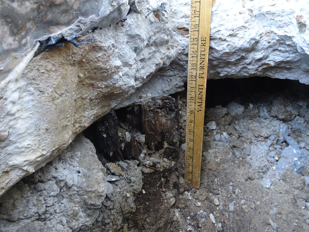 Deep South Marine Restoration project 31 — dock piling repair and restoration